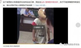 滑县爆料录音事件真相视频,真相与真相背后的真相